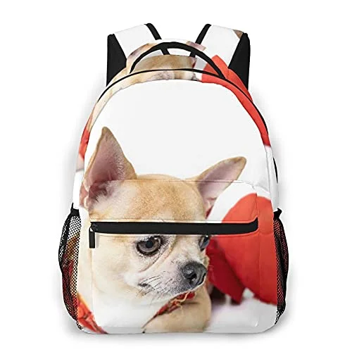 Expandable Travel Toiletry Bags in Clear Plastic for Easy Airport ScreeningMulti leisure backpack,Pomeranian And Shihuahua Dog With Red Love On, travel sports School bag for adult youth College Students